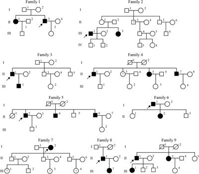 Integrative Analyses Identify Potential Key Genes and Calcium-Signaling Pathway in Familial Atrioventricular Nodal Reentrant Tachycardia Using Whole-Exome Sequencing